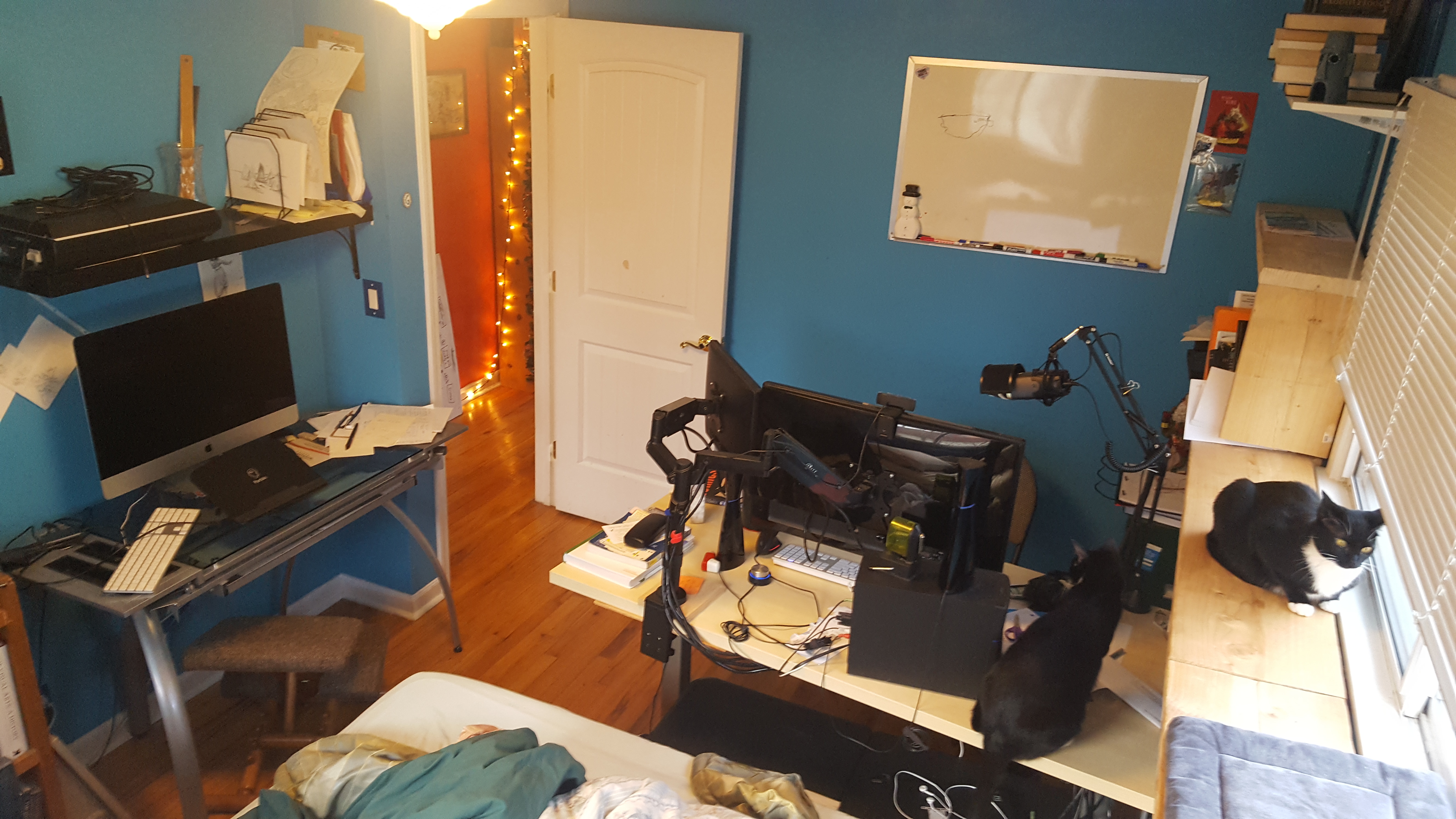 Morrie's office in 2022. She's got a nice adjustable desk now, a new white board behind her, and a fancy microphone on an arm. Also our two new cats, Scrump and Reagent Vendor, are making nuisances of themselves.